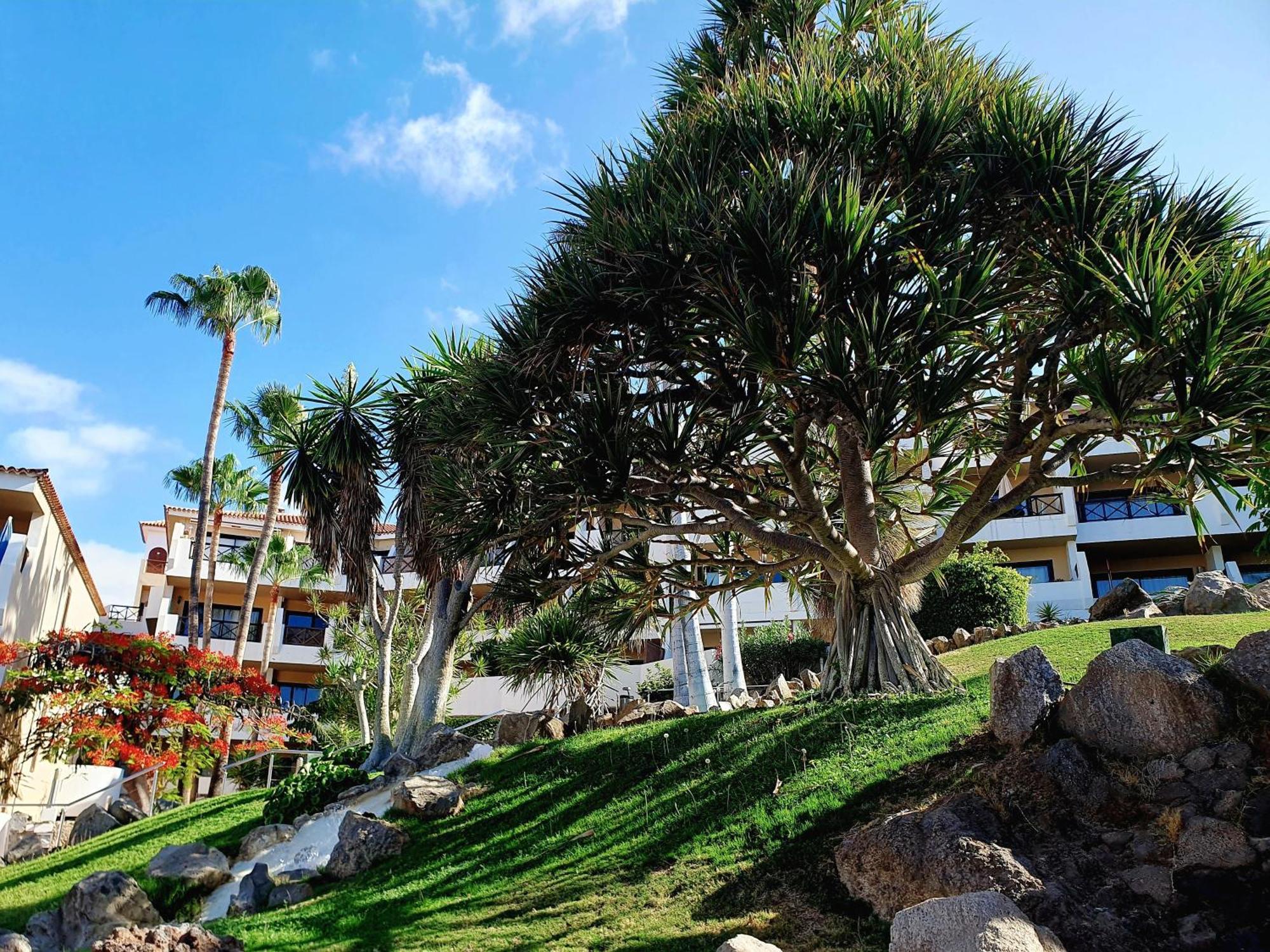 Spacious Apartment With Private Garden In Tenerife South San Miguel de Abona Esterno foto